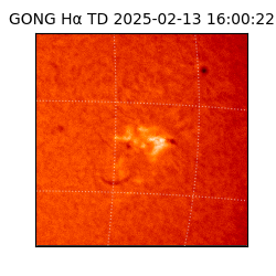 gong - 2025-02-13T16:00:22