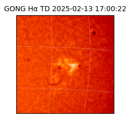 gong - 2025-02-13T17:00:22