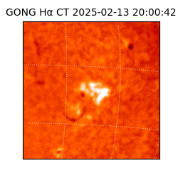 gong - 2025-02-13T20:00:42