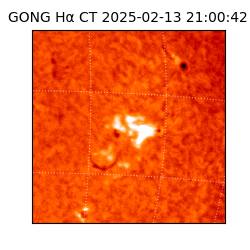 gong - 2025-02-13T21:00:42