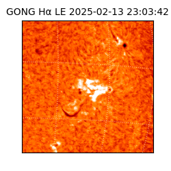 gong - 2025-02-13T23:03:42