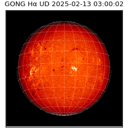 gong - 2025-02-13T03:00:02