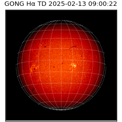gong - 2025-02-13T09:00:22