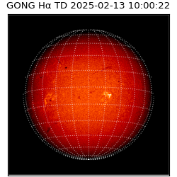 gong - 2025-02-13T10:00:22