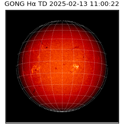 gong - 2025-02-13T11:00:22