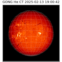 gong - 2025-02-13T19:00:42