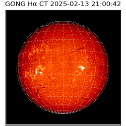 gong - 2025-02-13T21:00:42