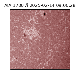 saia - 2025-02-14T09:00:28.717000