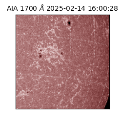 saia - 2025-02-14T16:00:28.718000