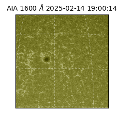 saia - 2025-02-14T19:00:14.125000