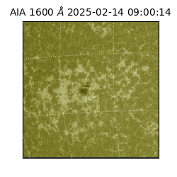 saia - 2025-02-14T09:00:14.126000