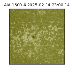 saia - 2025-02-14T23:00:14.131000