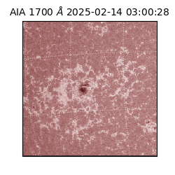 saia - 2025-02-14T03:00:28.710000