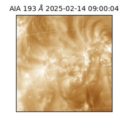 saia - 2025-02-14T09:00:04.846000