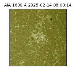 saia - 2025-02-14T08:00:14.125000