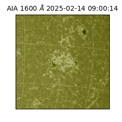 saia - 2025-02-14T09:00:14.126000