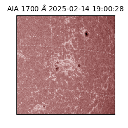 saia - 2025-02-14T19:00:28.709000