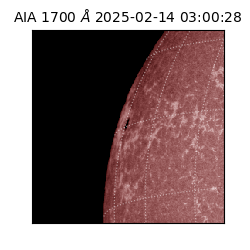 saia - 2025-02-14T03:00:28.710000