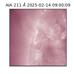 saia - 2025-02-14T09:00:09.626000