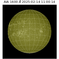 saia - 2025-02-14T11:00:14.124000