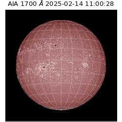 saia - 2025-02-14T11:00:28.719000