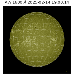 saia - 2025-02-14T19:00:14.125000