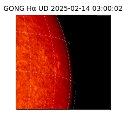 gong - 2025-02-14T03:00:02