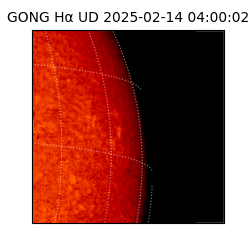 gong - 2025-02-14T04:00:02