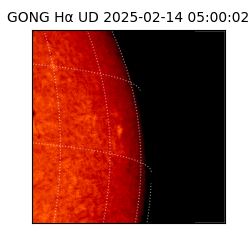 gong - 2025-02-14T05:00:02
