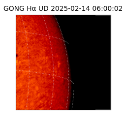 gong - 2025-02-14T06:00:02
