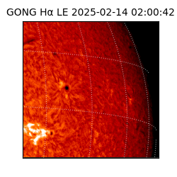 gong - 2025-02-14T02:00:42