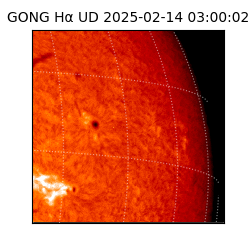 gong - 2025-02-14T03:00:02