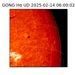 gong - 2025-02-14T06:00:02