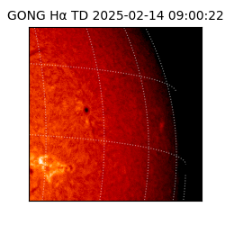 gong - 2025-02-14T09:00:22