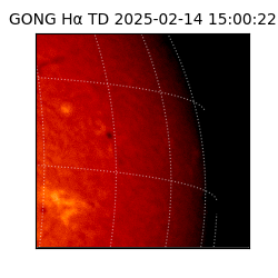 gong - 2025-02-14T15:00:22