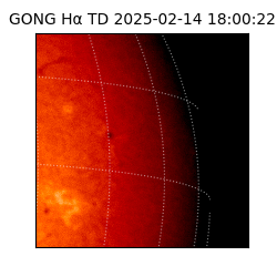 gong - 2025-02-14T18:00:22
