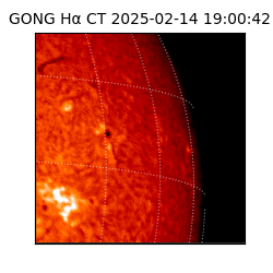 gong - 2025-02-14T19:00:42