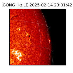 gong - 2025-02-14T23:01:42