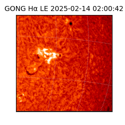 gong - 2025-02-14T02:00:42