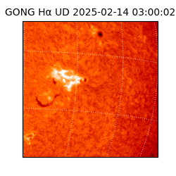 gong - 2025-02-14T03:00:02