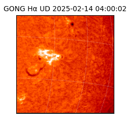 gong - 2025-02-14T04:00:02