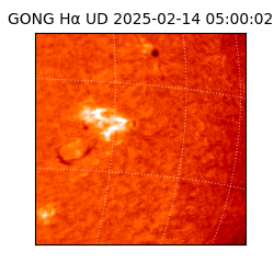 gong - 2025-02-14T05:00:02