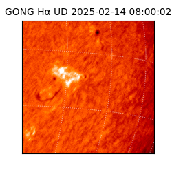 gong - 2025-02-14T08:00:02