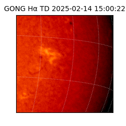 gong - 2025-02-14T15:00:22