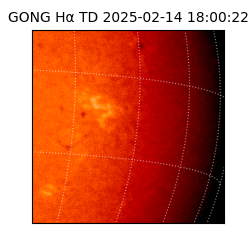 gong - 2025-02-14T18:00:22
