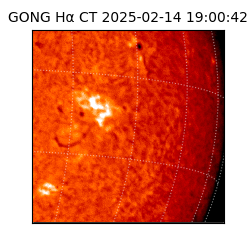 gong - 2025-02-14T19:00:42