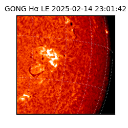 gong - 2025-02-14T23:01:42