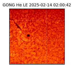 gong - 2025-02-14T02:00:42