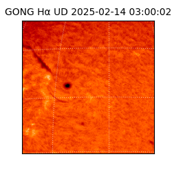 gong - 2025-02-14T03:00:02