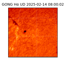 gong - 2025-02-14T08:00:02